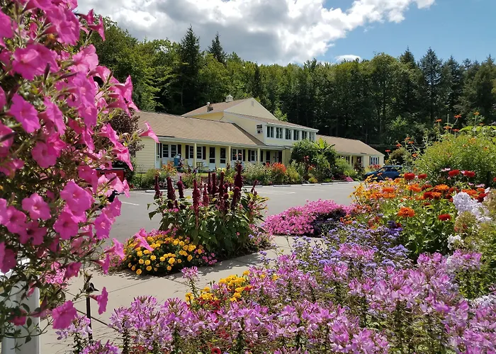 Bay Top Motel